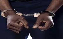 Démantèlement d’un vaste réseau d’escroquerie aux “plantes médicinales” : plus de 338 millions de FCFA volatilisés