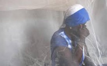 Mbour : un fils tente d’étrangler sa mère… à cause de spaghetti