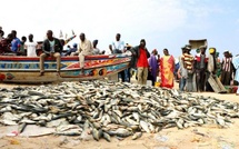 Cayar : les acteurs de la pêche appellent à une meilleure protection des métiers lors de la Journée mondiale de la pêche