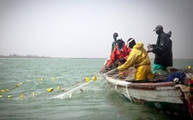 Reconduction du protocole de pêche entre le Sénégal et la Mauritanie