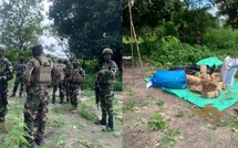 Importante saisie de produit prohibé par la BT Fimela de la Compagnie de Gendarmerie  à Soudiane Sérère