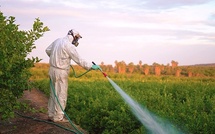 "Aucun respect pour la vie humaine en Afrique"