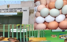 Thiès : un homme condamné à quatre mois de prison ferme pour vol d’œufs