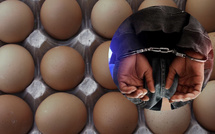 Vol d’œufs dans un poulailler : un employé condamné après une série de prélèvements clandestins
