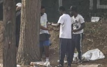 Un dealer interpellé avec 500 grammes de chanvre indien à Grand Mbao