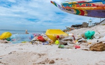 Pollution plastique : cinq ans après la loi, des résultats jugés insuffisants