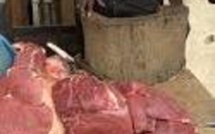 Abattage clandestin à Golf Sud : un suspect en flagrant délit