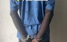 Livraison de chanvre déjouée à Bignona : un tailleur sous mandat de dépôt