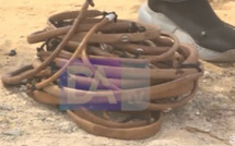 Découverte inquiétante au cimetière des Abattoirs lors d’une opération de désherbage