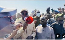 Filière arachide : instruction donnée à la SONACOS pour l’achat de 450 000 tonnes