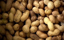 Contrôle du prix de l’arachide : des missions annoncées dans les marchés hebdomadaires