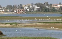 Technopôle de Dakar : joyau écologique sous pression