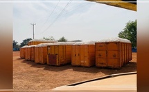 Kédougou : forte progression des superficies et de la production cotonnières pour la campagne 2025-2026