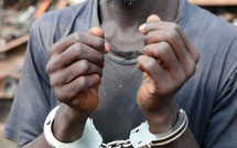 Mbour : un commerçant condamné après la revente non autorisée de véhicules et d’engins agricoles