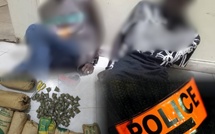 Fatick : deux individus arrêtés avec 54 kg de produit illicite lors d’une opération en zone forestière