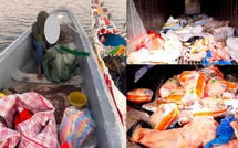 Les Douanes sénégalaises saisissent près de 28 tonnes de cuisses de poulet introduites frauduleusement