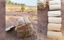 Bignona : quatre personnes arrêtées avec six kilogrammes de produits illicites lors d’un contrôle routier