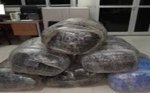 Ngazobil : 170 kg de chanvre indien saisis après chavirement d’une pirogue