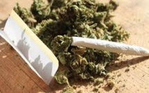 Tribunal de Thiès : deux mois ferme requis contre un conducteur d’engins