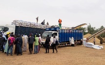 Collecte record d’arachide : la SONACOS atteint 190 000 tonnes