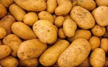 Le gouvernement régule les récoltes pour soutenir les petits producteurs