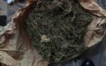 Kaffrine : un homme de 60 ans interpellé avec un kilogramme de drogue