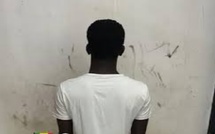 ol insolite à Cambérène : le voleur aidait la victime à retrouver ses propres moutons