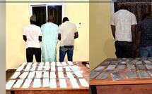 La Direction générale des Douanes du Sénégal saisit des billets noirs d’une valeur estimée à 730 millions de FCFA