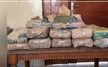Saly : 23 kg de chanvre saisis lors d’un contrôle, les suspects en fuite