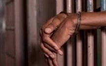 Trafic de téléphones volés : le commissariat U15 casse un réseau bien organisé