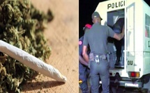 Thiès : dispute familiale et consommation de chanvre indien devant la justice