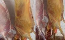 Kaffrine : saisie et incinération d’une carcasse bovine impropre à la consommation