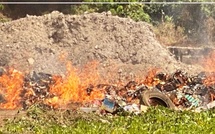 Ziguinchor : plus de 11 tonnes de produits impropres à la consommation détruites