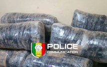 Mbour : plus de 259 kg de chanvre indien saisis, deux personnes interpellées