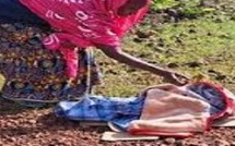 Découverte tragique à Ziguinchor : un bébé retrouvé sans vie près de la route d'Oussouye
