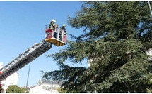 Thiès : un homme de 60 ans échappe au pire après une chute évitée de justesse