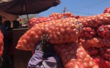 Sénégal : le gel des importations d’oignons officiellement levé