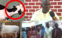 SÉNÉGAL : Naissance de « And Suxali Sunu Élevage », un nouveau géant pastoral à vocation nationale