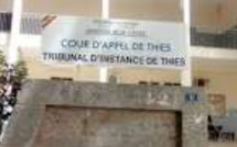 Conflit entre éleveur et cultivateurs à Thiès : un affrontement fait un blessé au bras et un autre avec un doigt sectionné