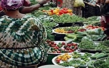 Tribunal de Thiès : deux mois ferme pour des aubergines