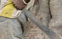 Gassane : un couple, dont une femme enceinte, grièvement blessé lors d’une attaque attribuée à des voleurs de bétail
